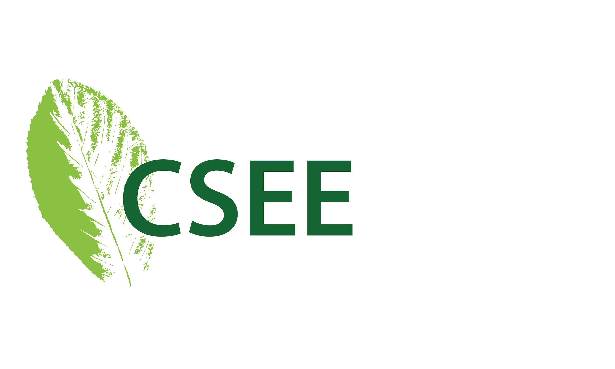 CSEE Logo